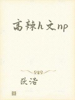 高辣h文np