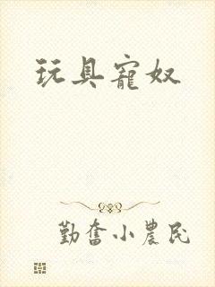 玩具宠奴