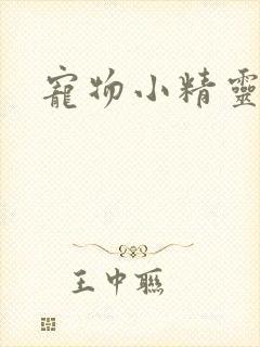 宠物小精灵漫画封面