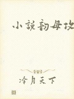小说韵母攻略