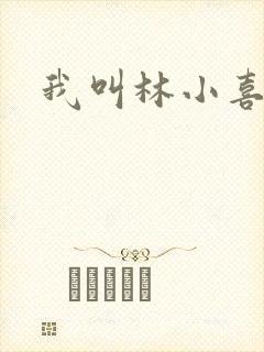 我叫林小喜17封面