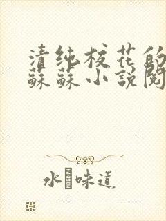 清纯校花的日常苏苏小说阅读全文