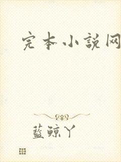 完本小说网