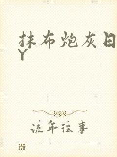 抹布炮灰日记BY