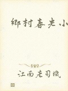 乡村春光小说
