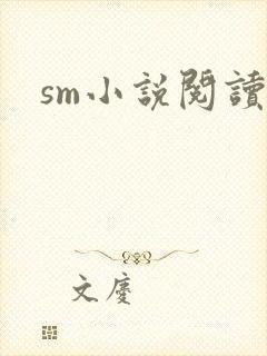 sm小说阅读封面