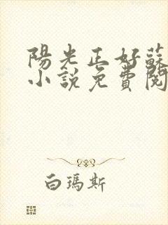 阳光正好苏玥玥小说免费阅读