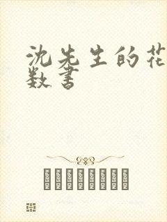 沈先生的花式调数书
