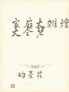 家庭大杂烩小说大全儿