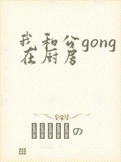 我和公gong在厨房