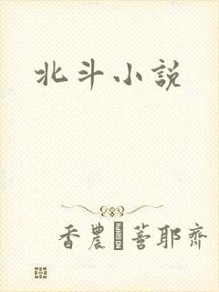 北斗小说