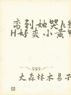 脔到她哭h粗话H好爽小黄鸭视频