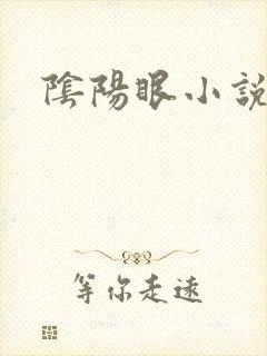 阴阳眼小说