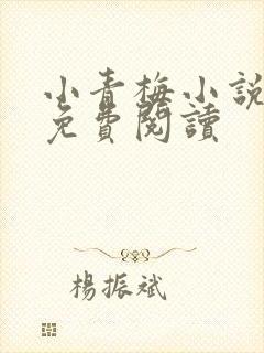 小青梅小说全文免费阅读