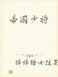 帝国少将封面