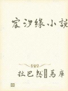 宸汐缘小说