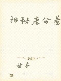 神秘老公惹不起封面