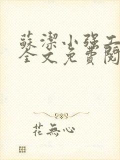 苏洁小强工地情全文免费阅读封面