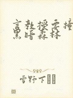 言教授要撞坏了黑暗森林