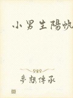 小男生阳帆
