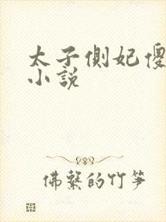 太子侧妃傻乎乎小说封面