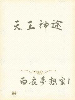 天王神途封面