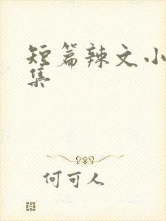 短篇辣文小说合集