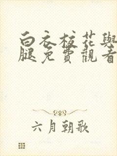 白衣校花与大长腿免费观看电视剧封面