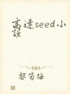 高达seed小说封面