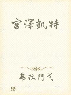 宫泽凯特封面