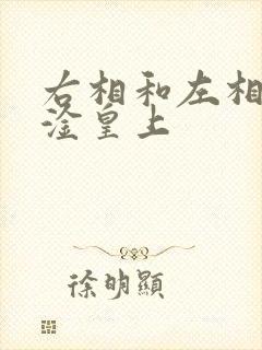 右相和左相一起淦皇上封面