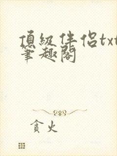 顶级伴侣txt笔趣阁封面