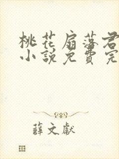 桃花扇落君不还小说免费完整版