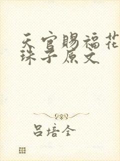 天官赐福花怜塞珠子原文封面