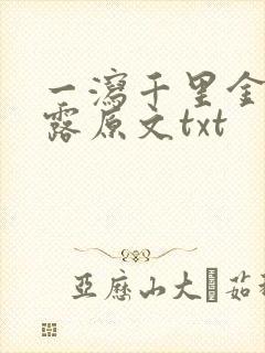 一泻千里金银花露原文txt