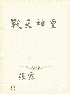 战天神皇封面