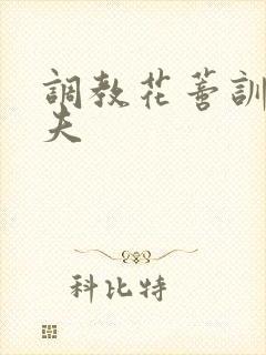 调教花蒂训诫从夫