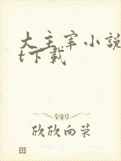 大主宰小说txt下载