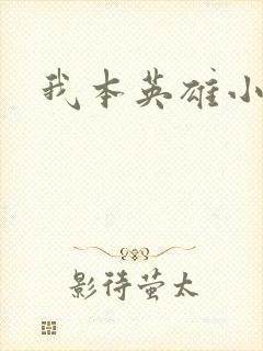 我本英雄小说