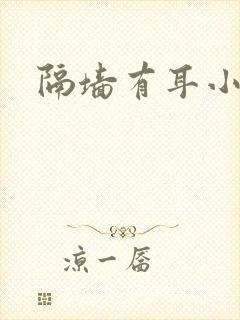 隔墙有耳小说