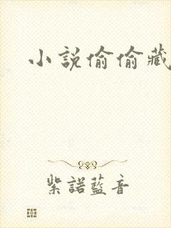 小说偷偷藏不住