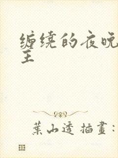 缠绕的夜晚双男主