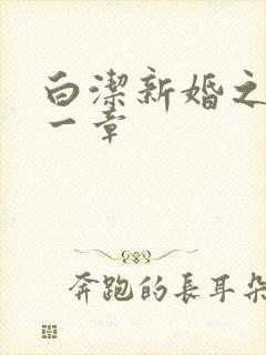 白洁新婚之夜第一章