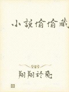 小说偷偷藏不住