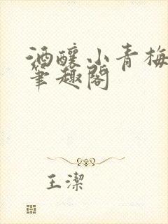 酒酿小青梅po笔趣阁