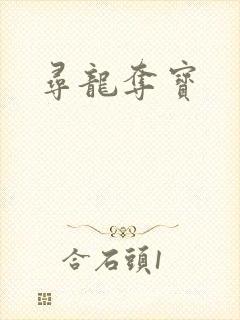 寻龙夺宝
