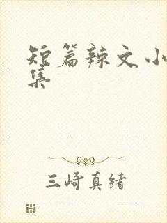 短篇辣文小说合集