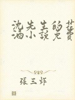 沈先生的花式调酒小说免费阅读封面