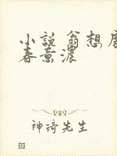 小说 翁想房中春意浓