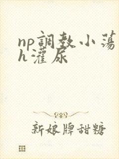 np调教小荡货h灌尿